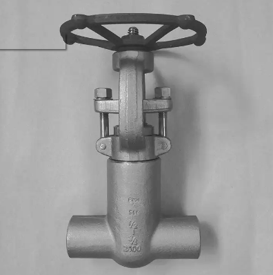 ���ܷ��ֹ�y